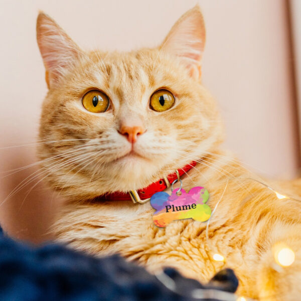 Médaille Animaux - Multicolor – Image 2