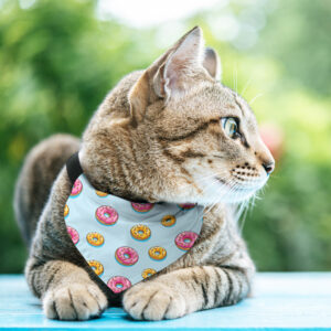 Bandana Animaux – Donuts