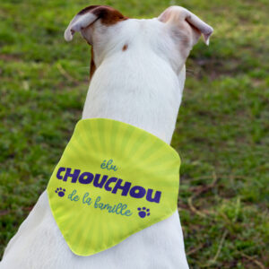 Bandana Animaux – Chouchou