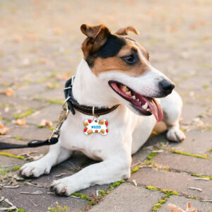 Médaille Animaux – Burger