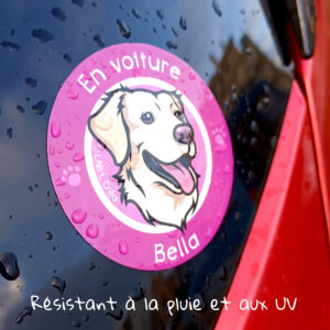 Stickers Personnalisés pour Voiture