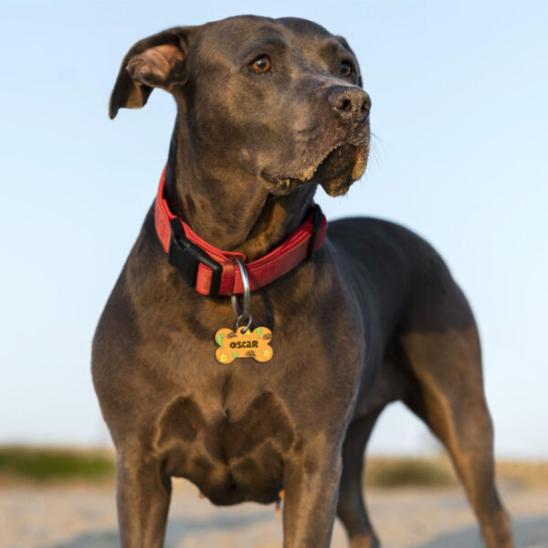 Médaille Animaux - Western – Image 2