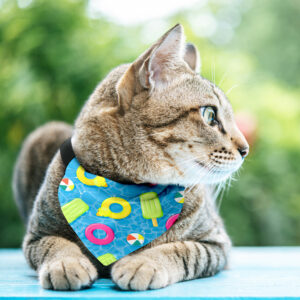 Bandana Animaux – Piscine