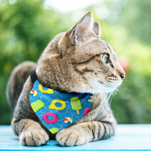 Bandana Animaux – Piscine