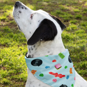 Bandana Animaux – Bonbons