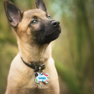 Médaille Animaux – Bonbons