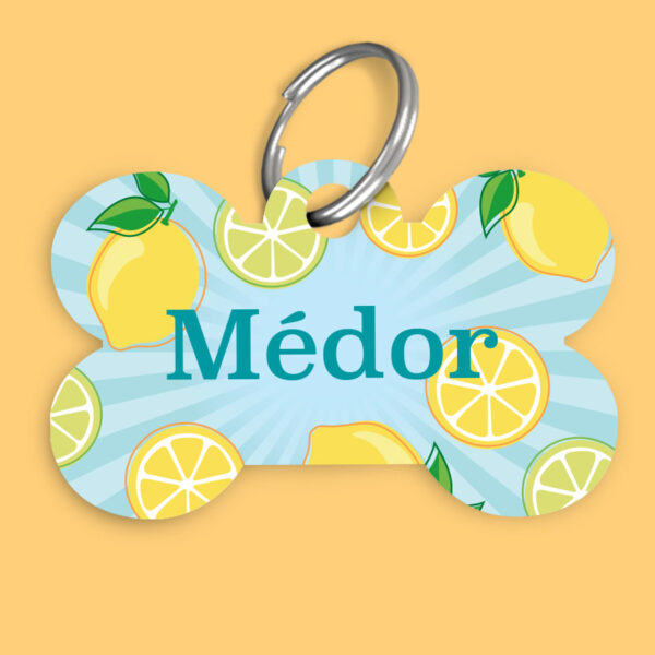 Médaille Animaux - Citrons – Image 3