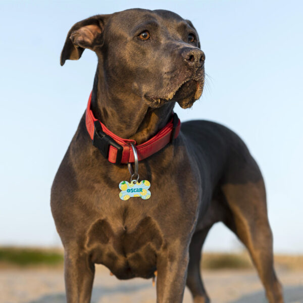 Médaille Animaux - Citrons – Image 2