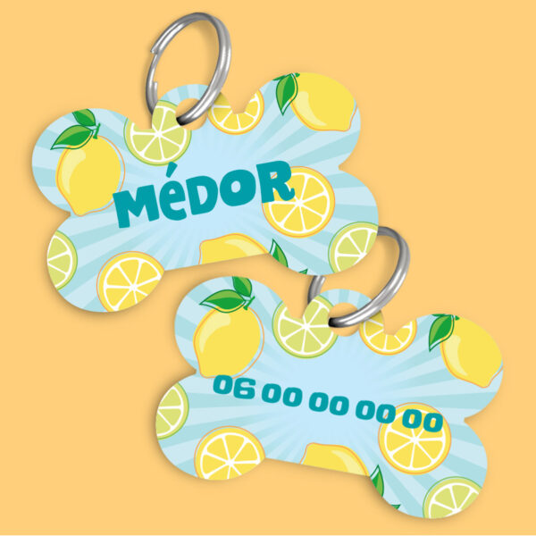 Médaille Animaux - Citrons
