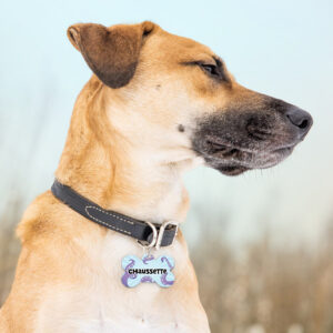 Médaille Animaux – Tentacules