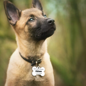 Médaille Animaux – à Personnaliser !