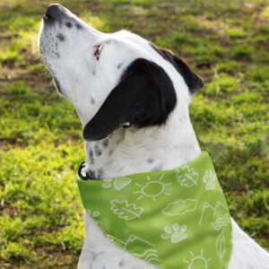 Bandana Animaux – Nature