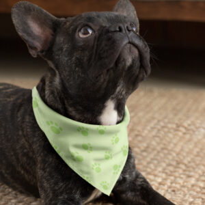 Bandana Animaux – Pattes Vertes