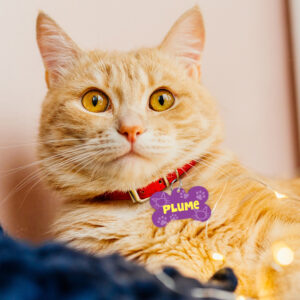 Médaille Animaux – Purple Cat